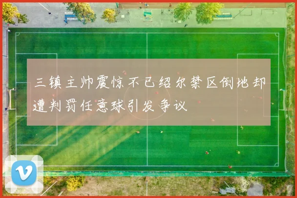 三镇主帅震惊不已绍尔禁区倒地却遭判罚任意球引发争议