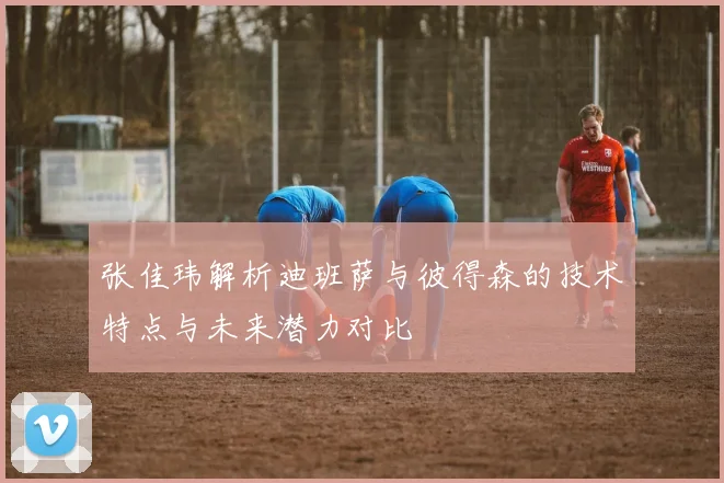 张佳玮解析迪班萨与彼得森的技术特点与未来潜力对比
